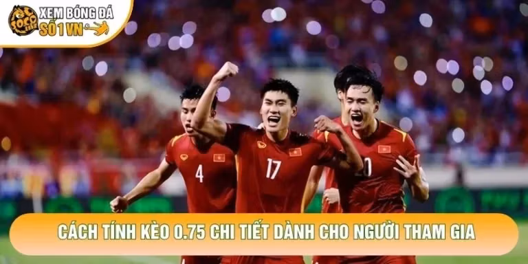 Cách Tính Kèo 0.75 Chi Tiết Dành Cho Người Tham Gia