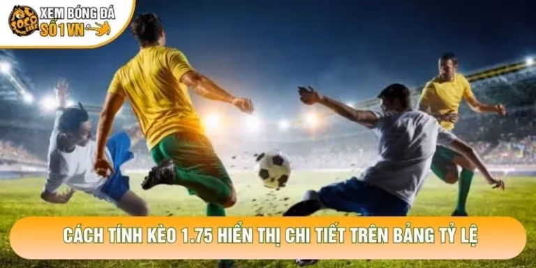 Cách Tính Kèo 1.75 Chuẩn Xác Trong Cá Cược Bóng Đá