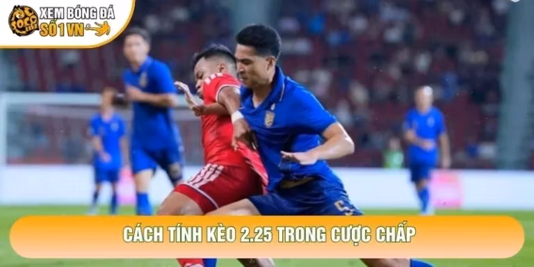 Cách Tính Kèo 2.25 Chuẩn Xác Nhất Cho Người Mới Bắt Đầu