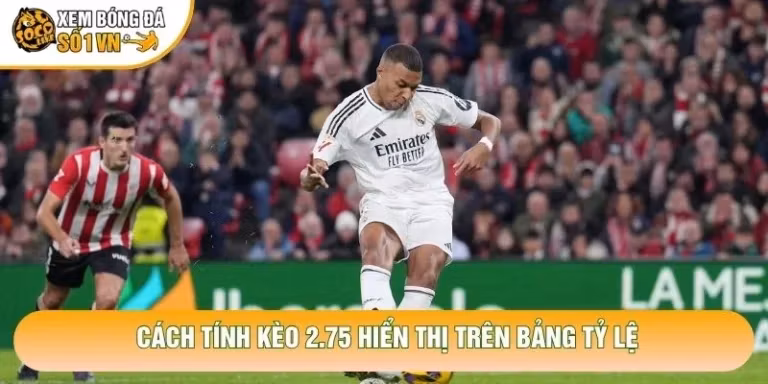 Cách Tính Kèo 2.75 Chính Xác Nhất Cho Tất Cả Hội Viên