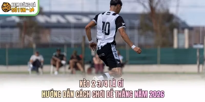 Kèo 2 3/4 Là Gì - Hướng Dẫn Cách Chơi Dễ Thắng Năm 2026