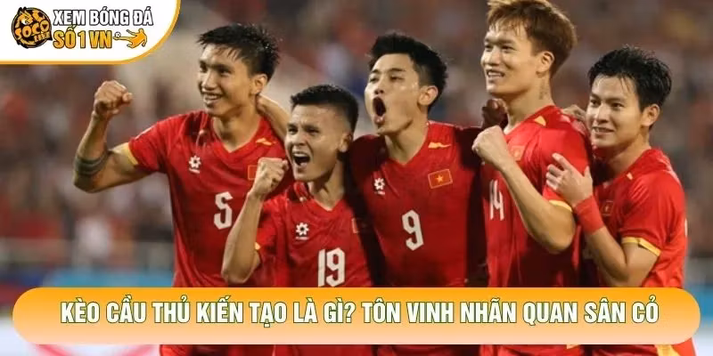 Kèo Cầu Thủ Kiến Tạo Là Gì? Tôn Vinh Nhãn Quan Sân Cỏ