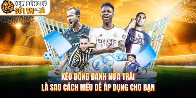 Kèo Đồng Banh Nửa Trái Là Sao Cách Hiểu Dễ Áp Dụng Cho Bạn