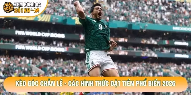 Kèo Góc Chẵn Lẻ – Các Hình Thức Đặt Tiền Phổ Biến 2026