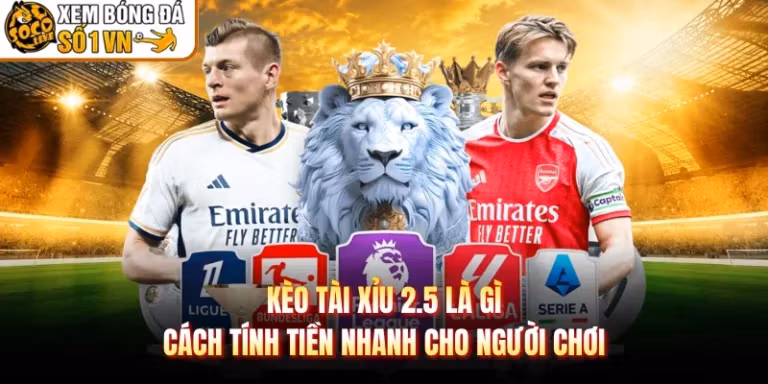 Kèo Tài Xỉu 2.5 Là Gì Cách Tính Tiền Nhanh Cho Người Chơi
