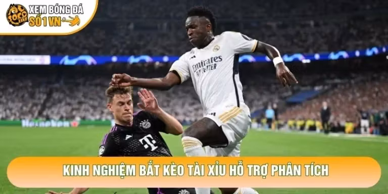 Kinh Nghiệm Bắt Kèo Tài Xỉu Chuẩn Xác Từ Chuyên Gia