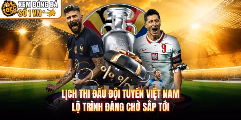 Lịch Thi Đấu Đội Tuyển Việt Nam Lộ Trình Đáng Chờ Sắp Tới
