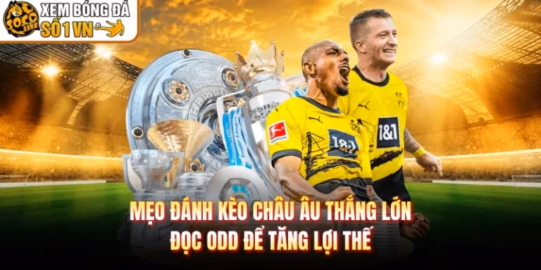 Mẹo Đánh Kèo Châu Âu Thắng Lớn - Đọc Odd Để Tăng Lợi Thế