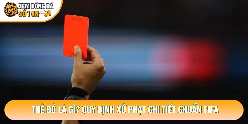 Thẻ Đỏ Là Gì? Quy Định Xử Phạt Chi Tiết Chuẩn FIFA